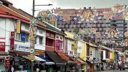 Little India Conservation Area (D8), Shop House #579572221